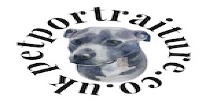 Pet Portraits