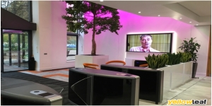 Complete Presentation Ltd