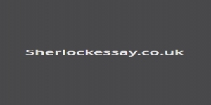 Sherlock Essay