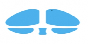 BRAINXP