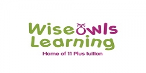 Wiseowls Learning 11 Plus