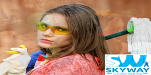 Skyway Window Cleaning