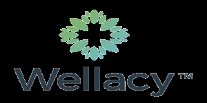 Wellacy Limited