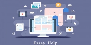 North American professional English paper writing