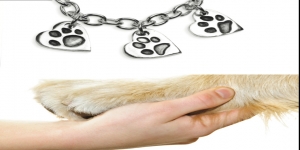 Silver Pet Prints
