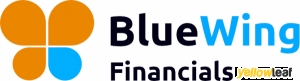 BlueWing Financials