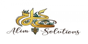 alim solutions ltd