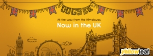 Dogsee Chew UK - Natural Dog Treats