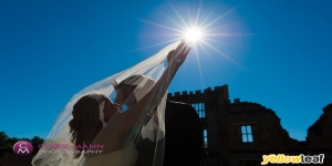 Chris Mann Photography