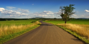 The Wholefulness Practice