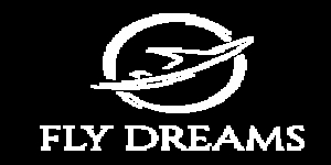 Fly dreams