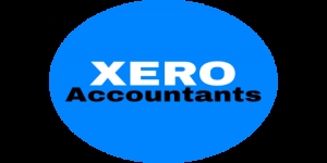 Xero Accountants