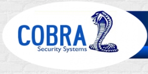 Cobra Security Systems Ltd