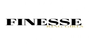 Finesse Models