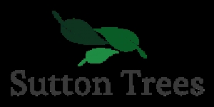 Sutton Coldfield Trees