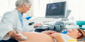 Ultrasound Plus
