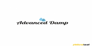 Advanced Damp