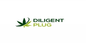 Digital plug