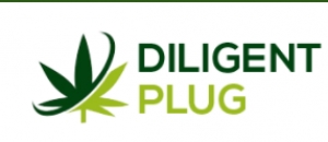 Dilgent Plug