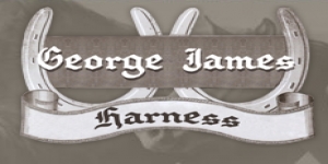 George James Harness