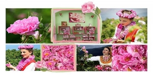 Land of Roses