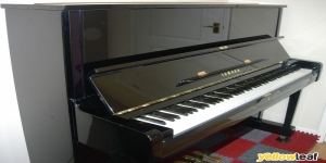 Moonlight Pianos