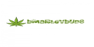 Bmarleybuds