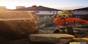 J Wiltshire Tree Care