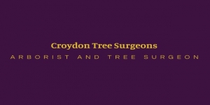 Croydon Tree Surgeons