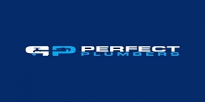 Perfect Plumbers
