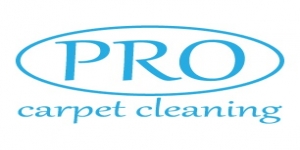 Pro Carpet Cleaning