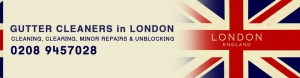 Gutter Cleaning London