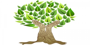 Juna Brookes - EMDR, Counselling, Trauma Therapy and Hypnotherapy