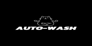 Auto-Wash