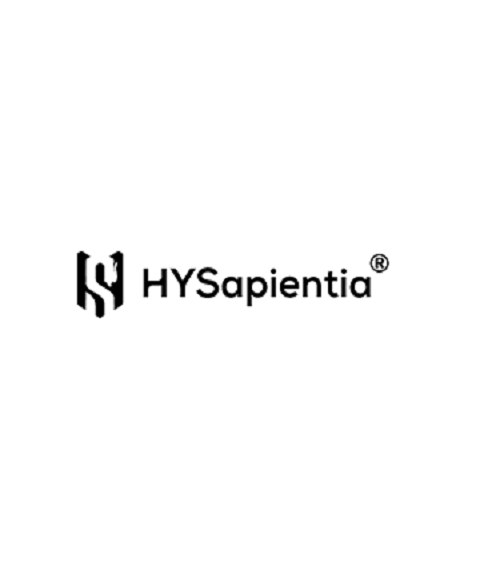 Kitchen Appliances, Air Fryer Oven, Air Fryer Professional Brand-HYSapientia