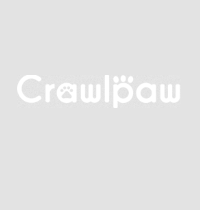 Crawlpaw knee support for dogs