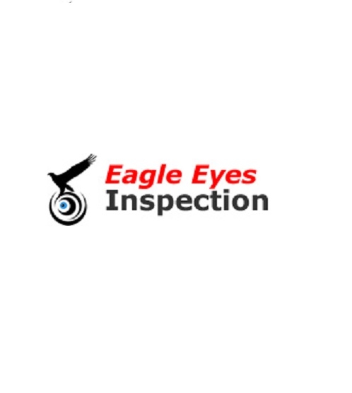 China factory audit report-Eagle Eyes