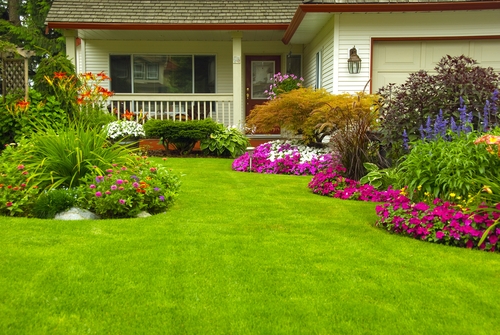 Absolute Gardens