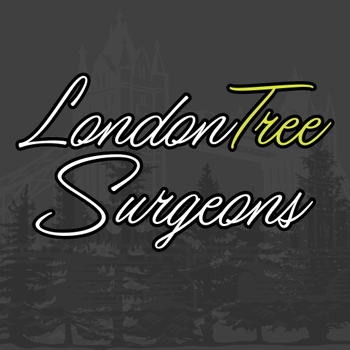 London Tree Surgeons