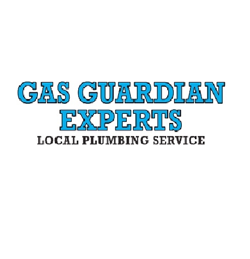 Gas Guardian Experts