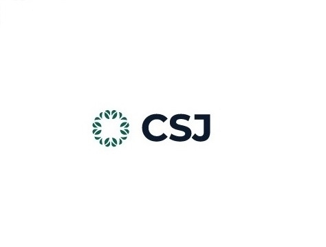 CSJ Consulting And CSJ Consulting Limited