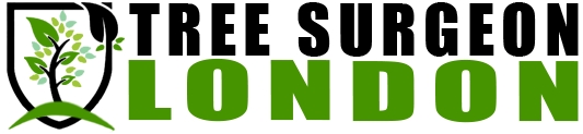 Tree Surgeon London