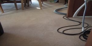 Martins Cleaning Services Ltd