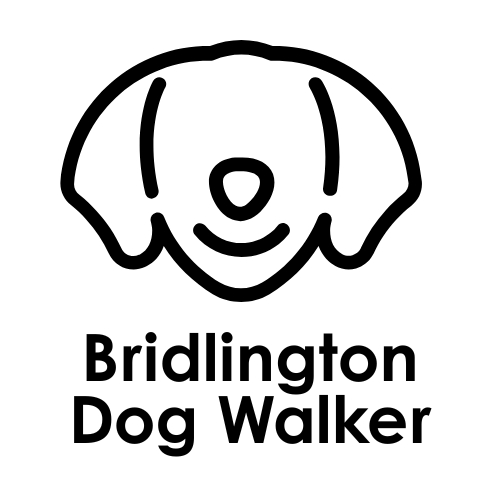 Bridlington Dog Walker
