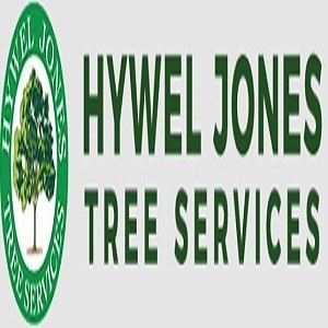 Hywel Jones Tree Services