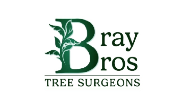 Bray Bros Tree Surgeons