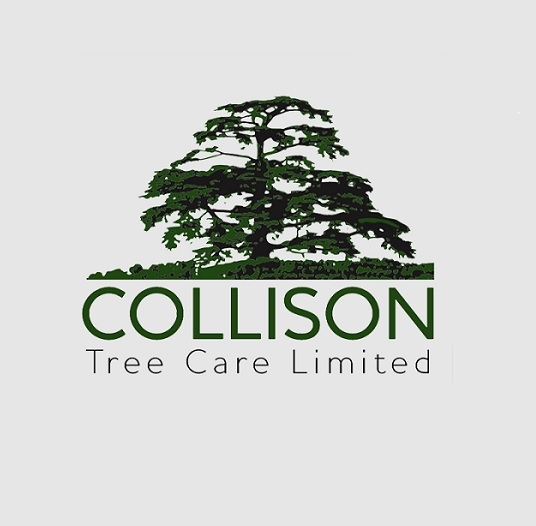 Collison Tree Care - Tree Surgeons Bedfordshire