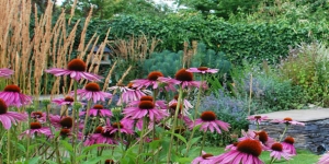 Doug Holloway Landscape Ltd