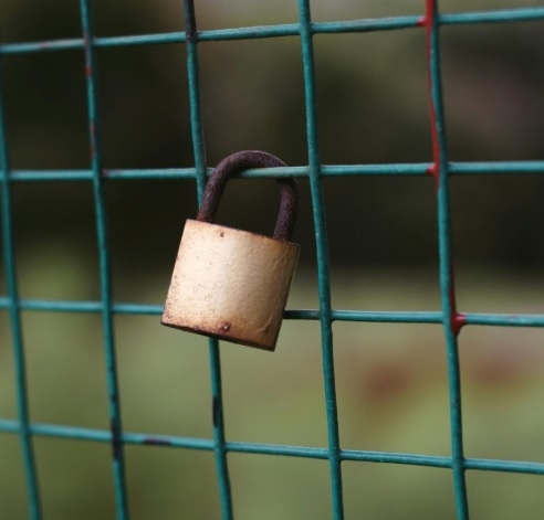 Ironclad Locksmith Forest Gate