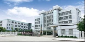 China Valve Industry Co. Ltd.